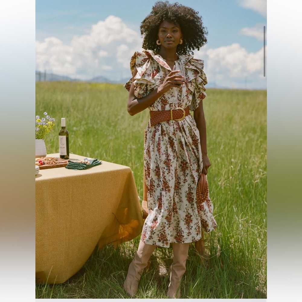 SOLD OUT TUCKERNUCK Cerise Falling Flowers Bouquet Mariana Dress Retail $328